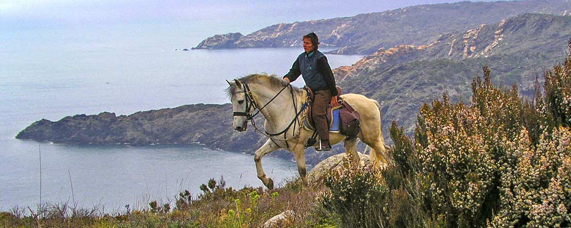 forsøg vindruer Slibende Catalan Coast & Spanish Horses - Panorama-Trails